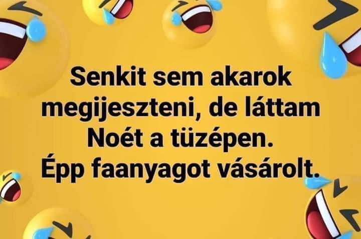 beillesztett kép