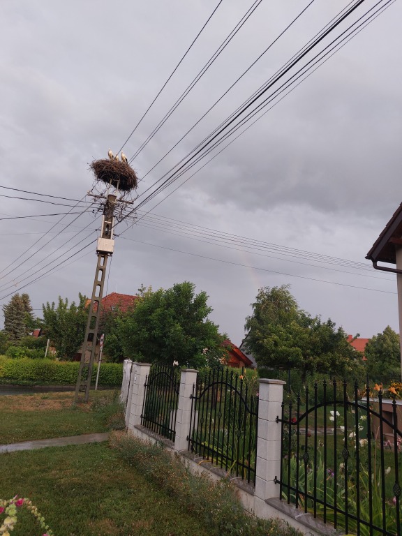 beillesztett kép