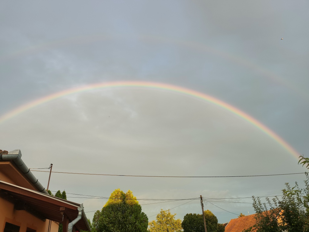 beillesztett kép