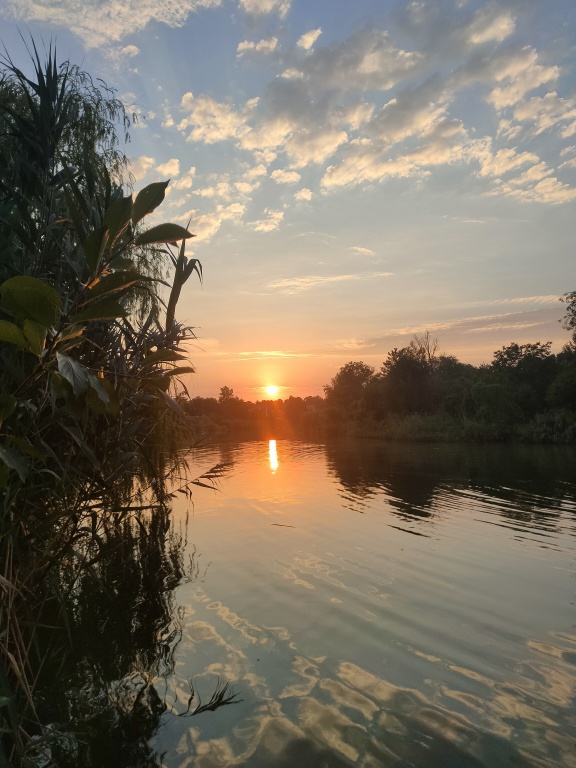 beillesztett kép