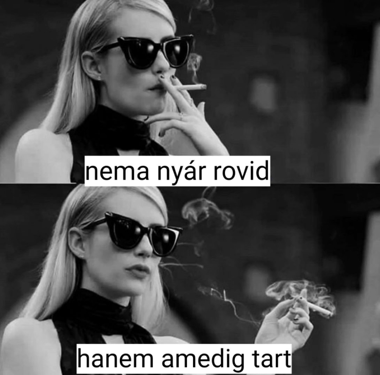 beillesztett kép