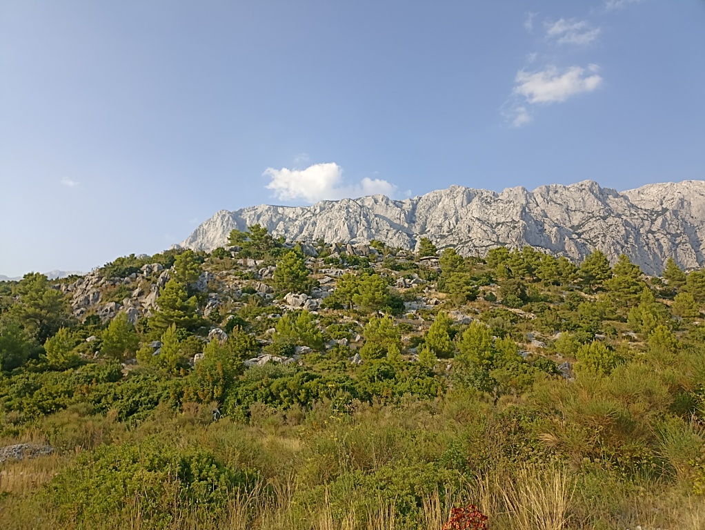 beillesztett kép