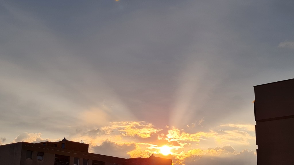 beillesztett kép
