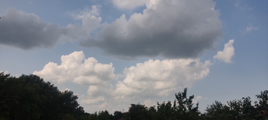 beillesztett kép