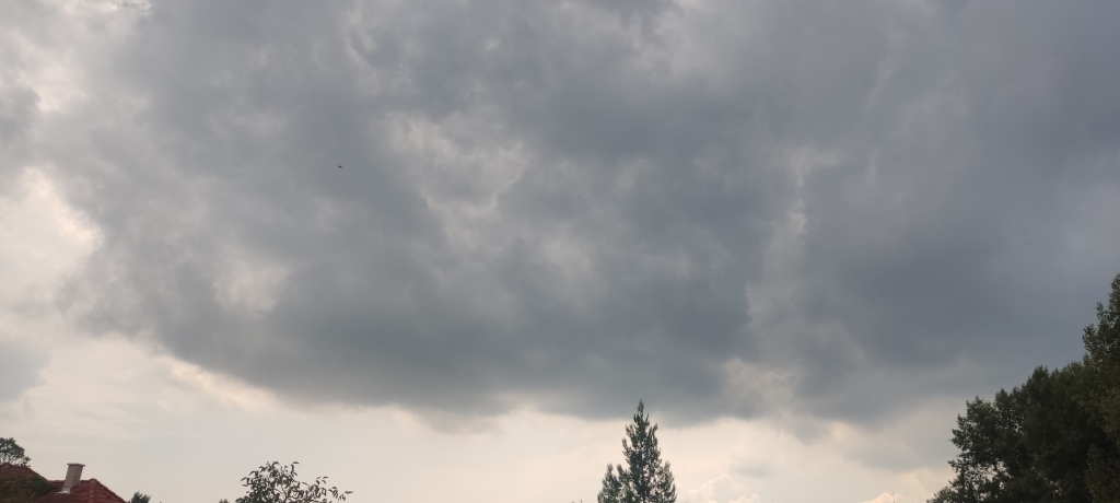 beillesztett kép