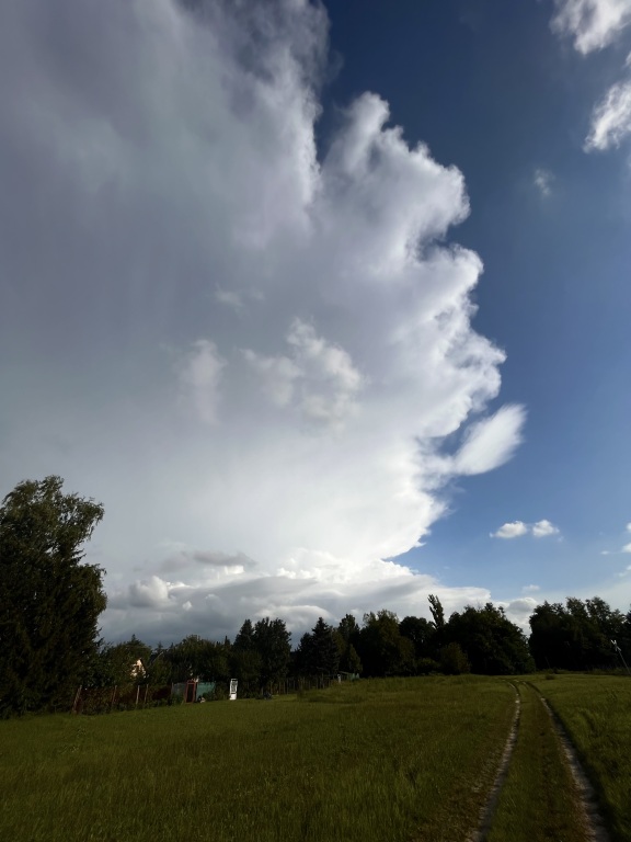 beillesztett kép