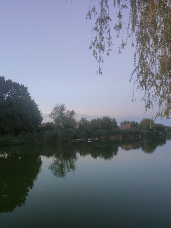 beillesztett kép
