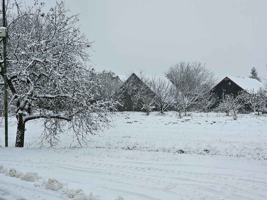 beillesztett kép