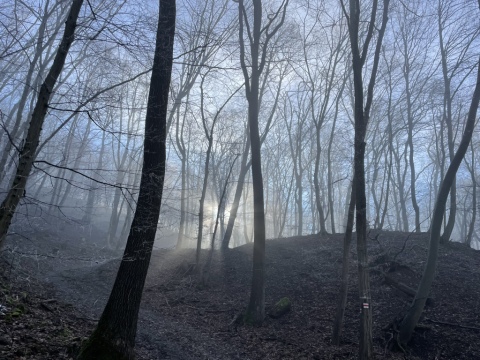 pic