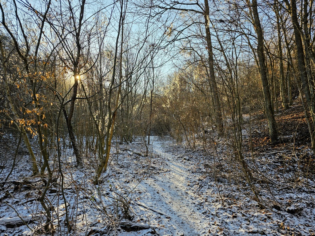 beillesztett kép