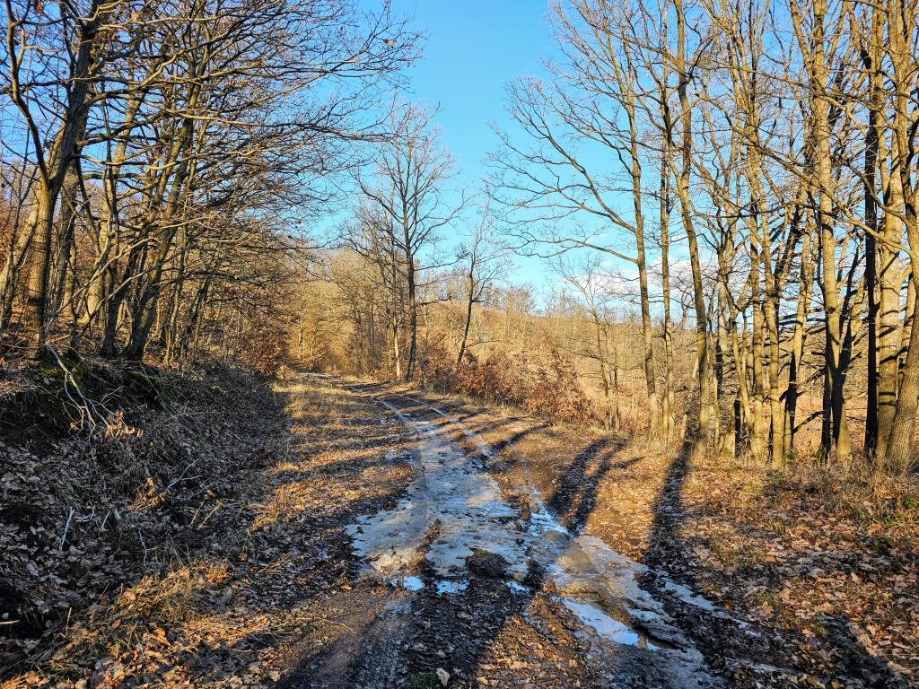 beillesztett kép