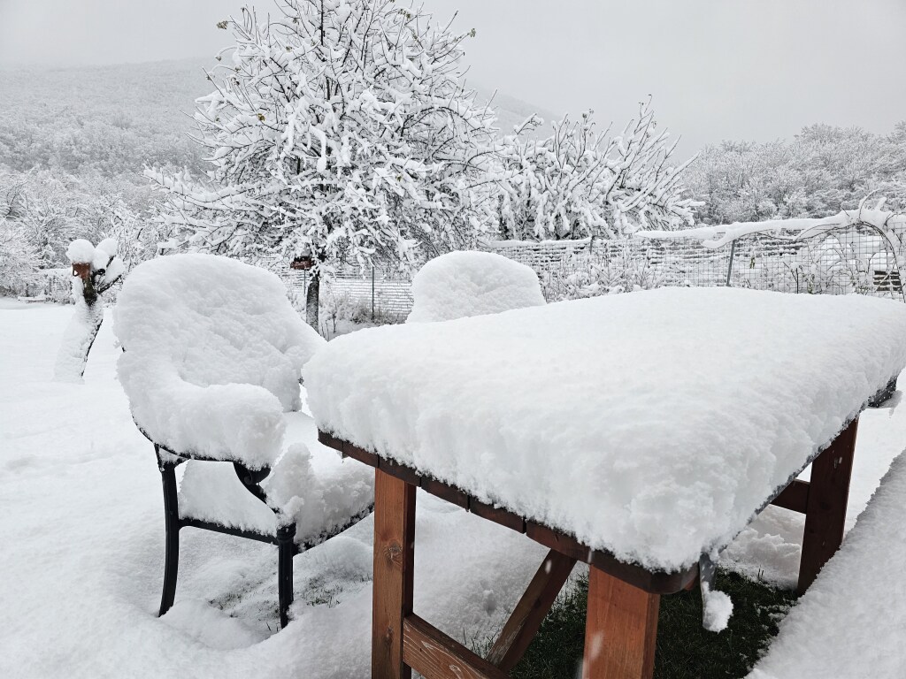 beillesztett kép