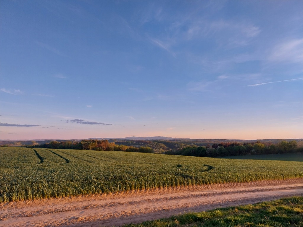 beillesztett kép