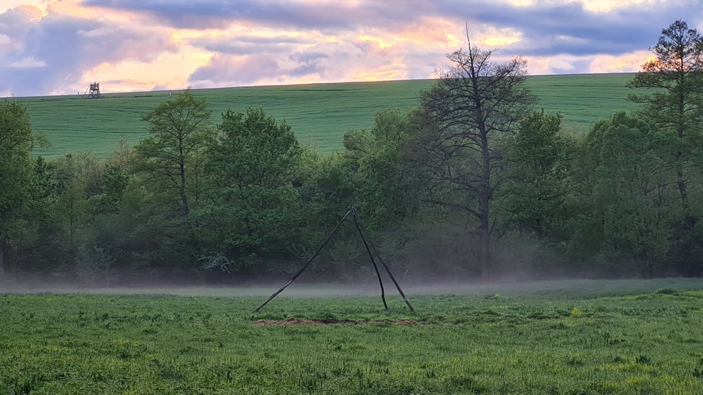 beillesztett kép