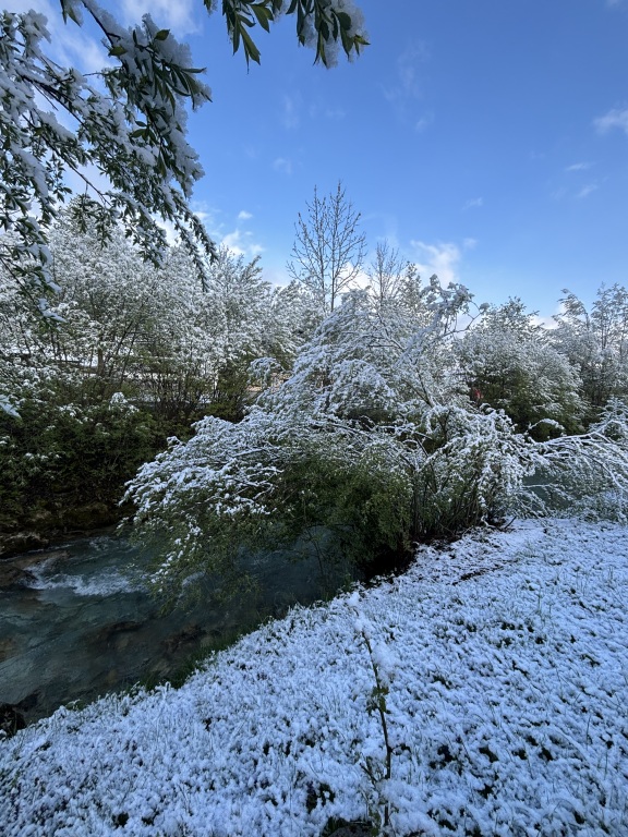 beillesztett kép