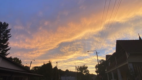 pic
