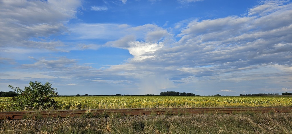 beillesztett kép