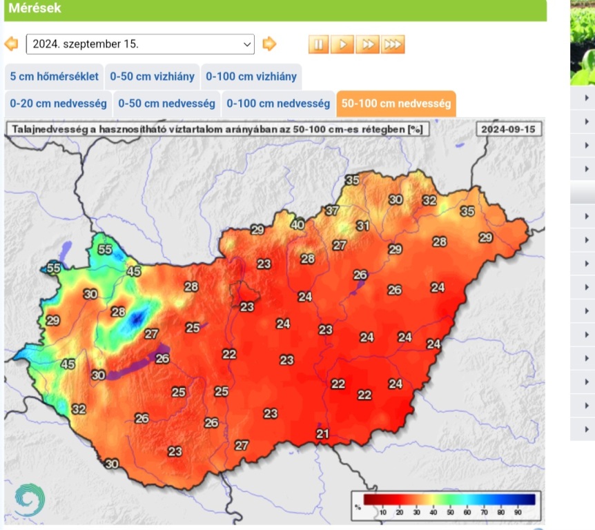 beillesztett kép