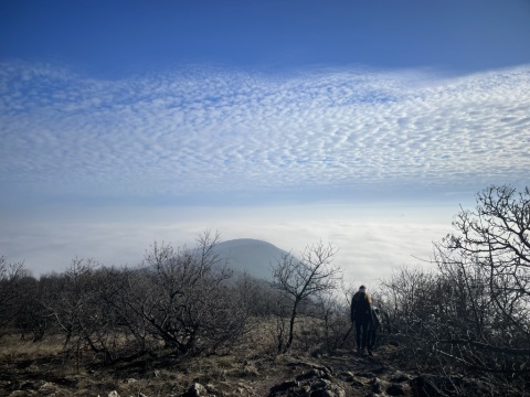 pic