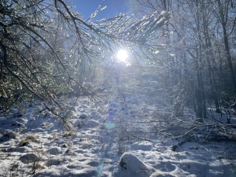 pic