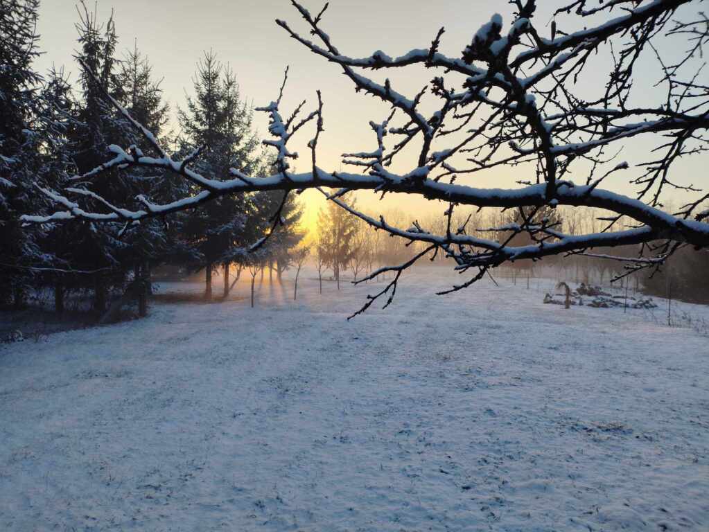 beillesztett kép