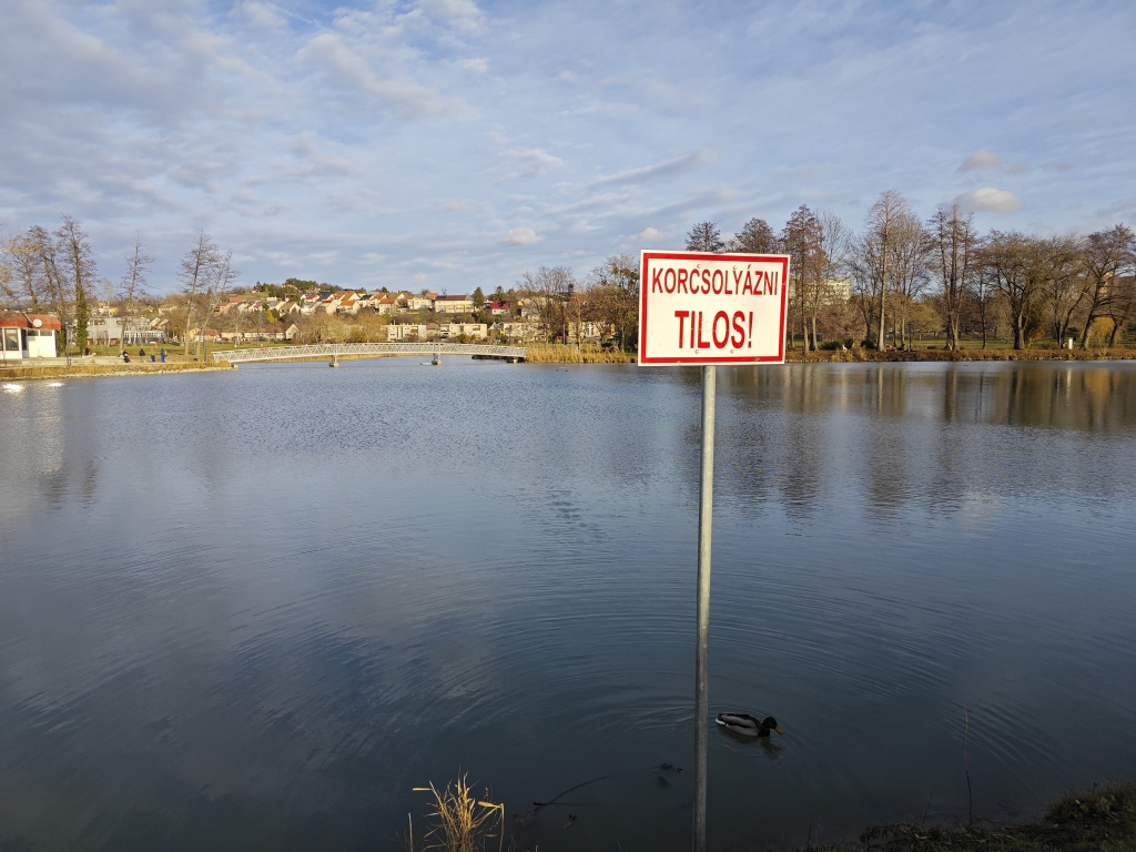 beillesztett kép