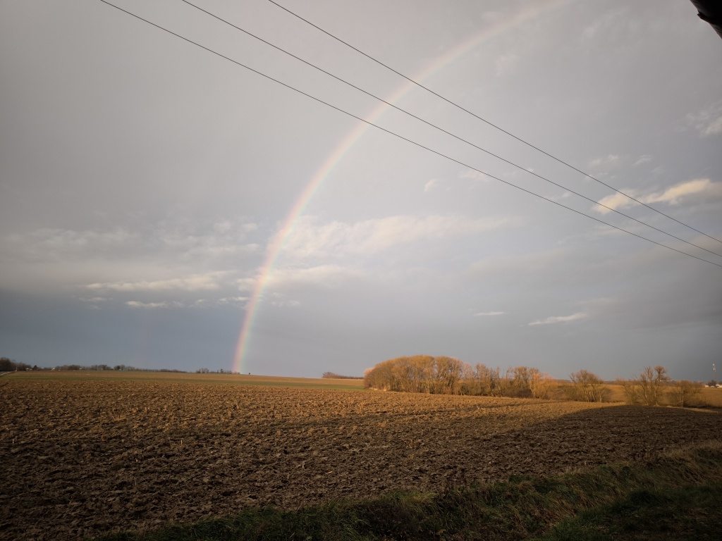 beillesztett kép