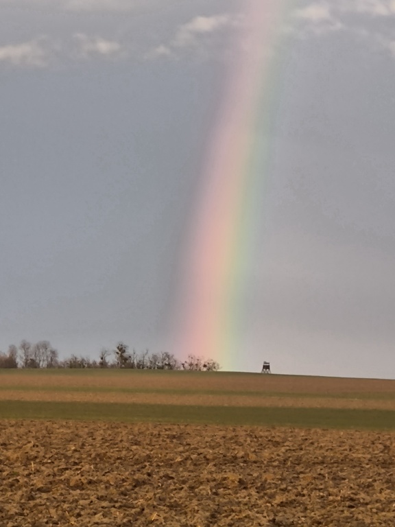 beillesztett kép