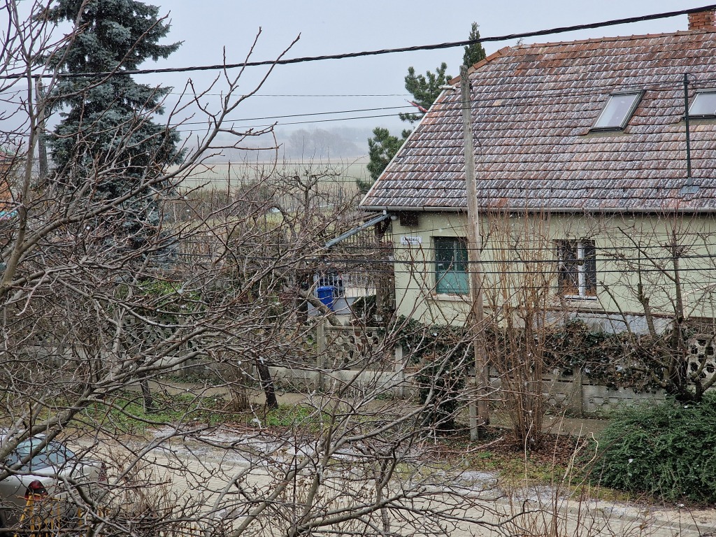 beillesztett kép