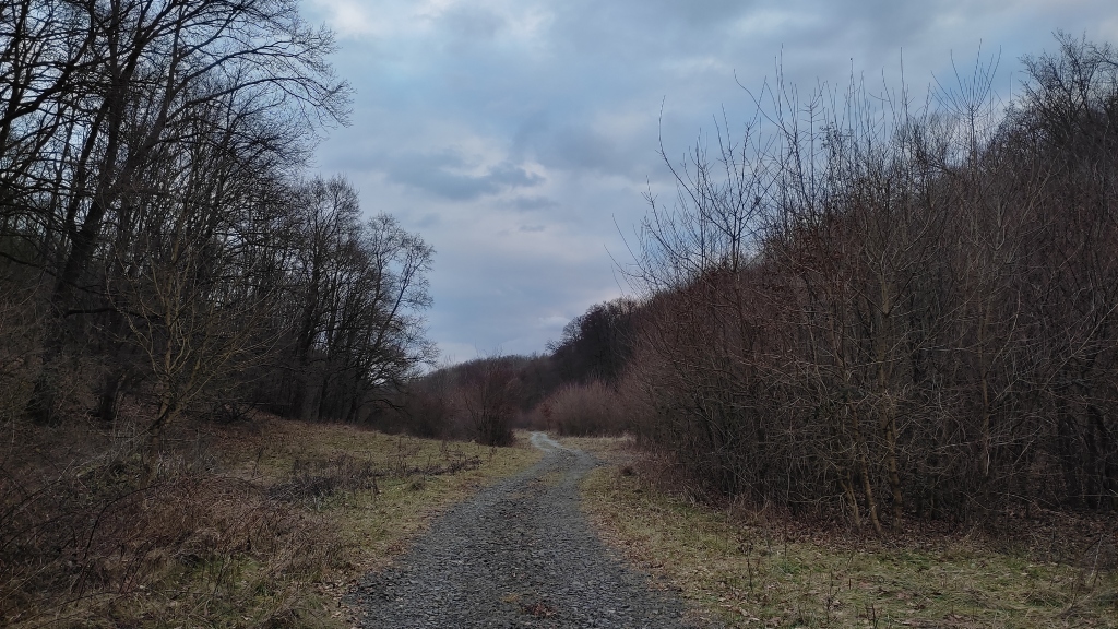 beillesztett kép