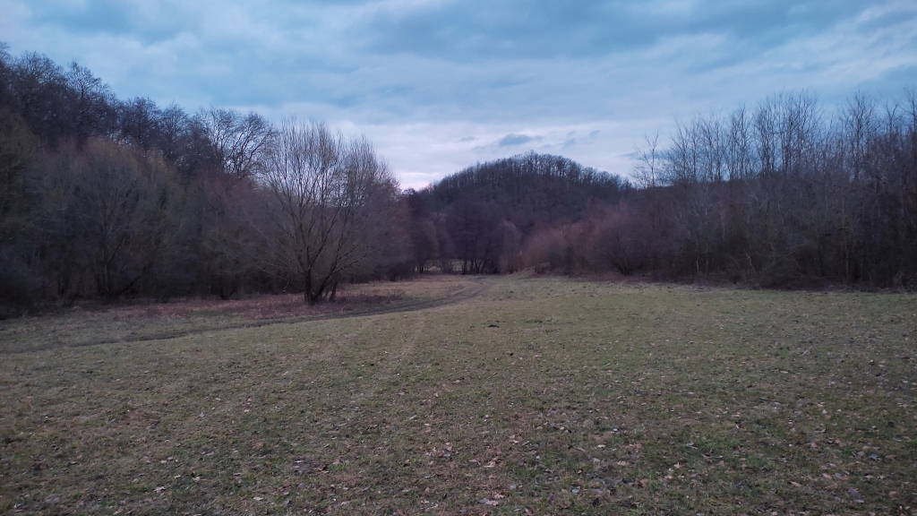 beillesztett kép