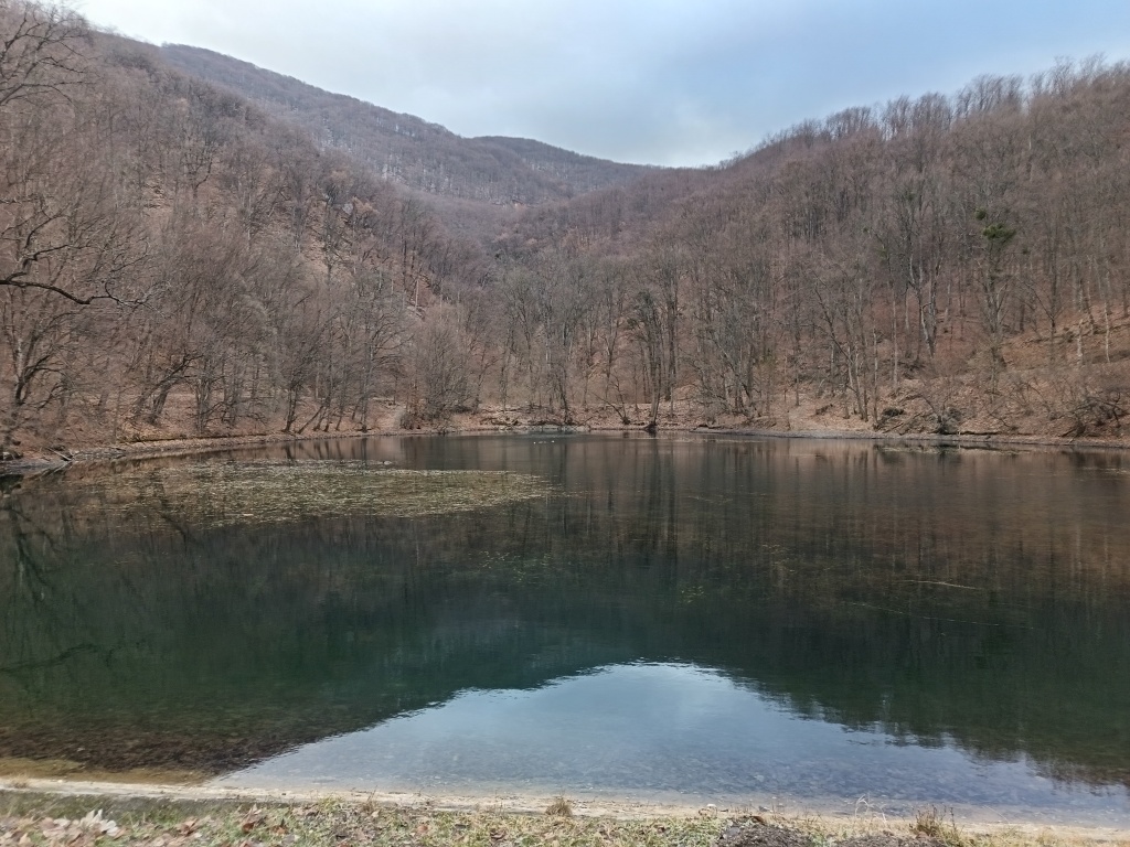 beillesztett kép