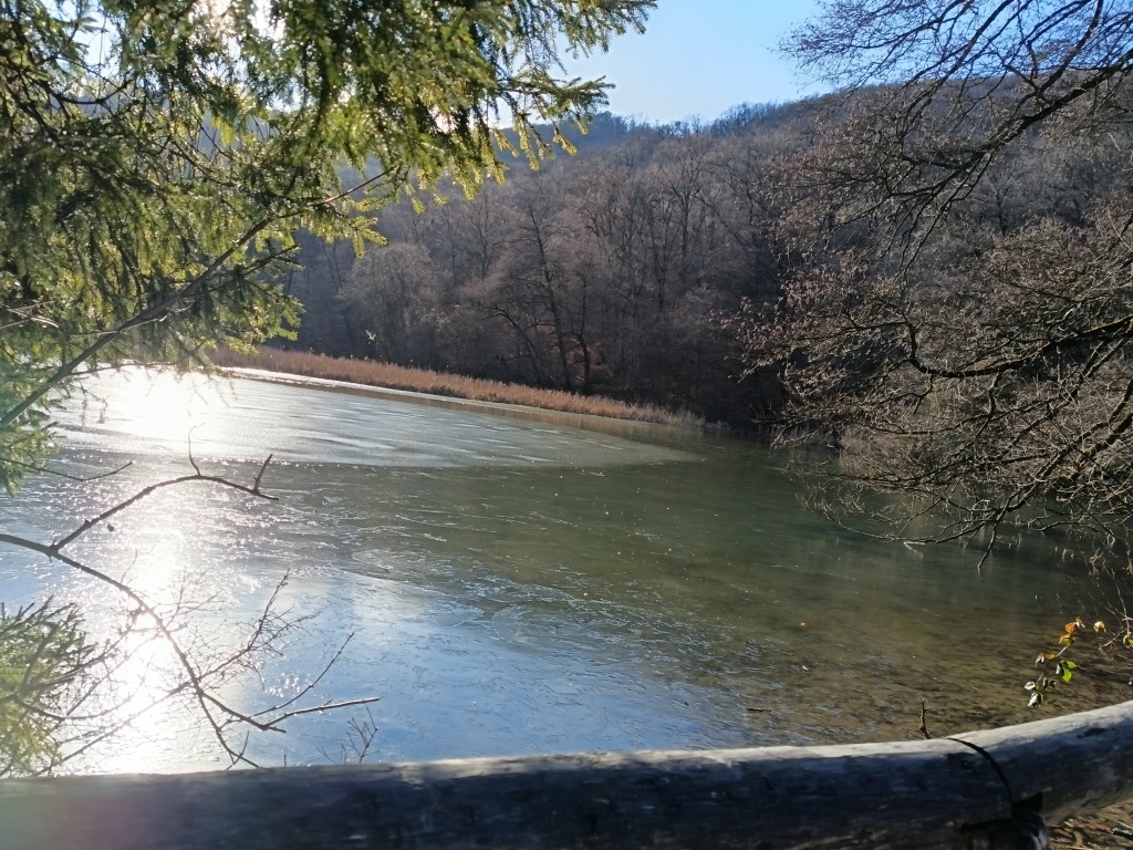 beillesztett kép