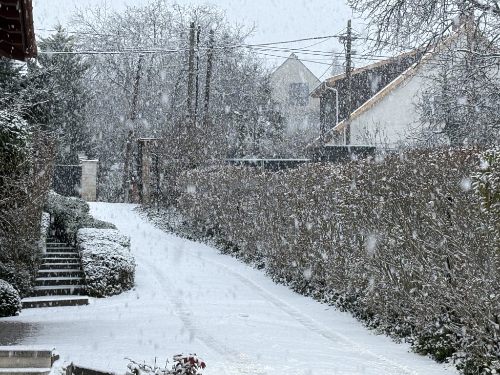 beillesztett kép