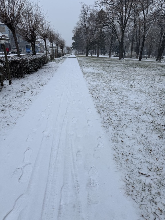 beillesztett kép