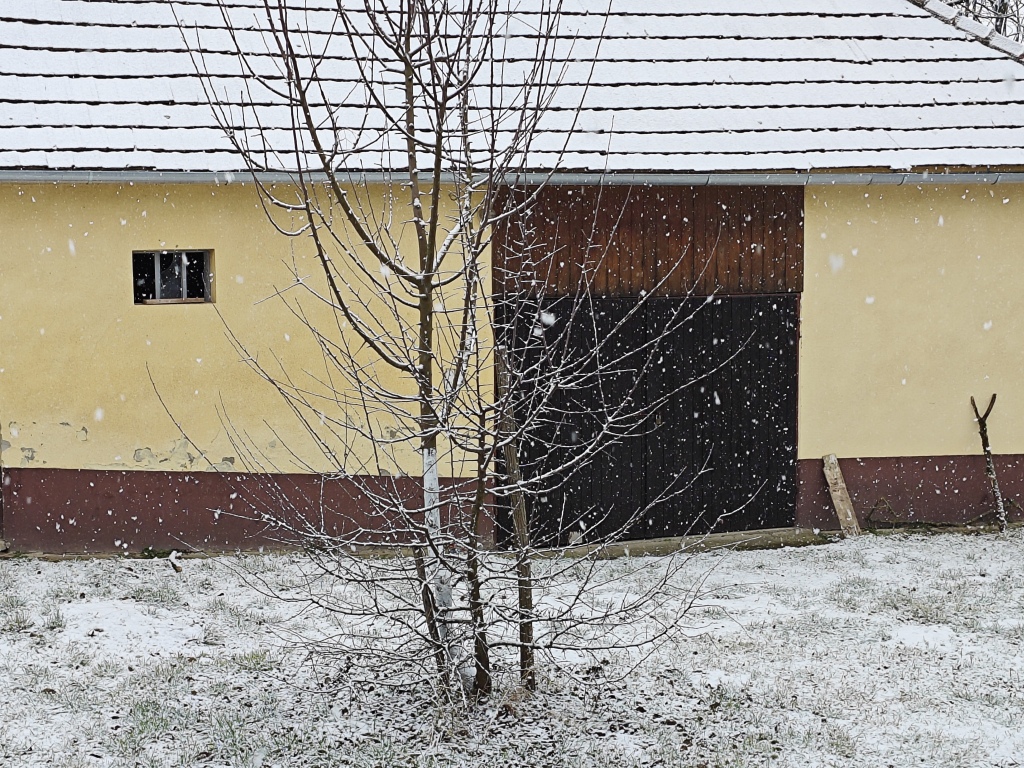 beillesztett kép