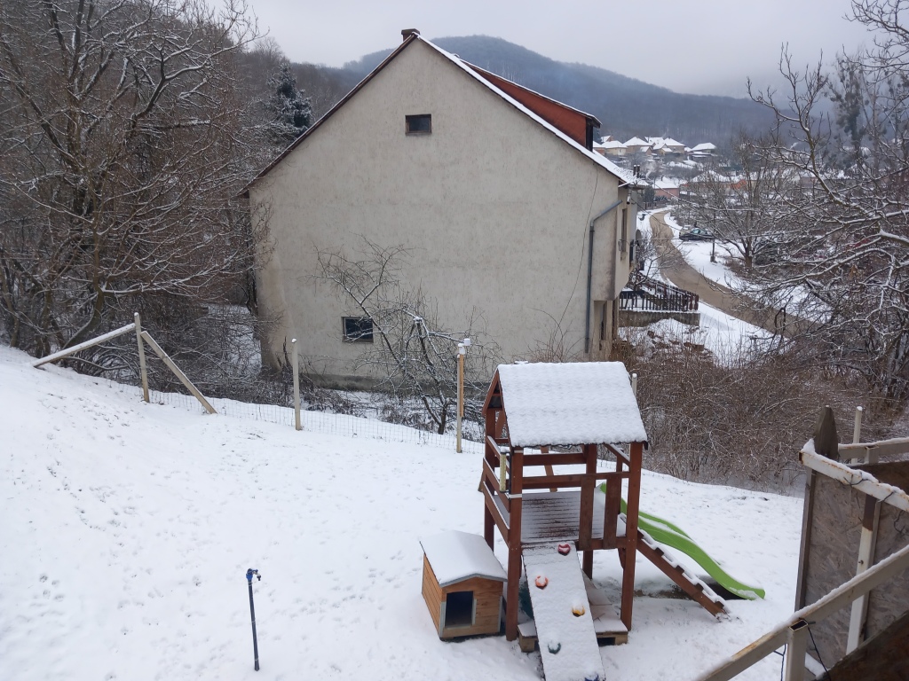 beillesztett kép