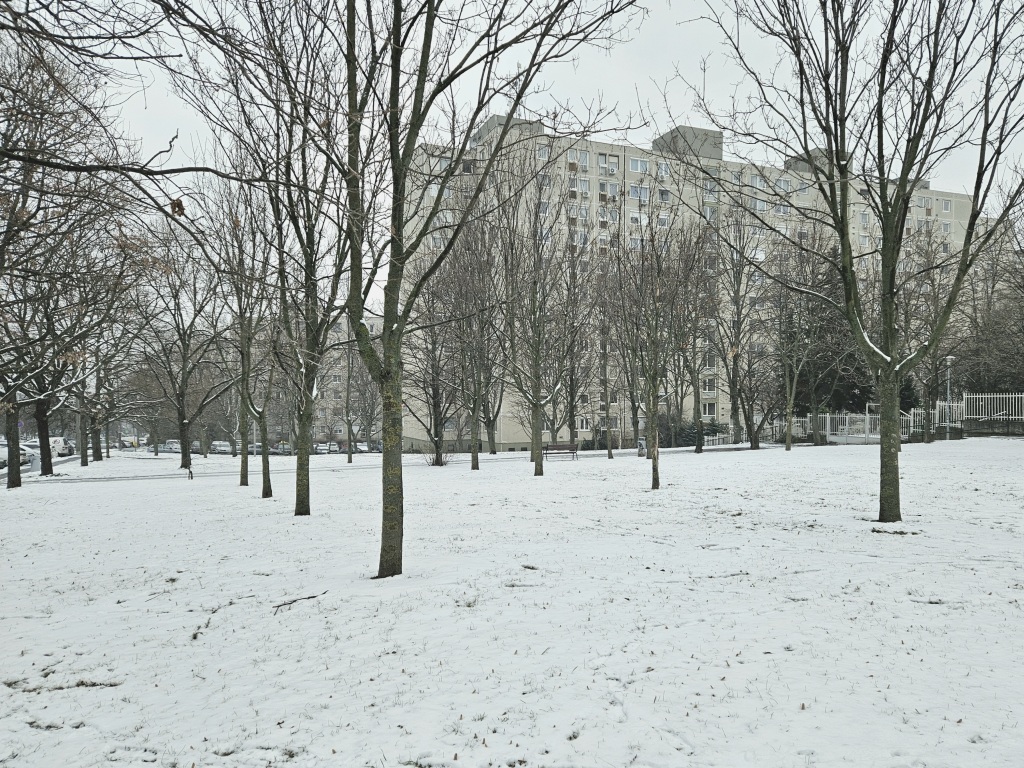 beillesztett kép