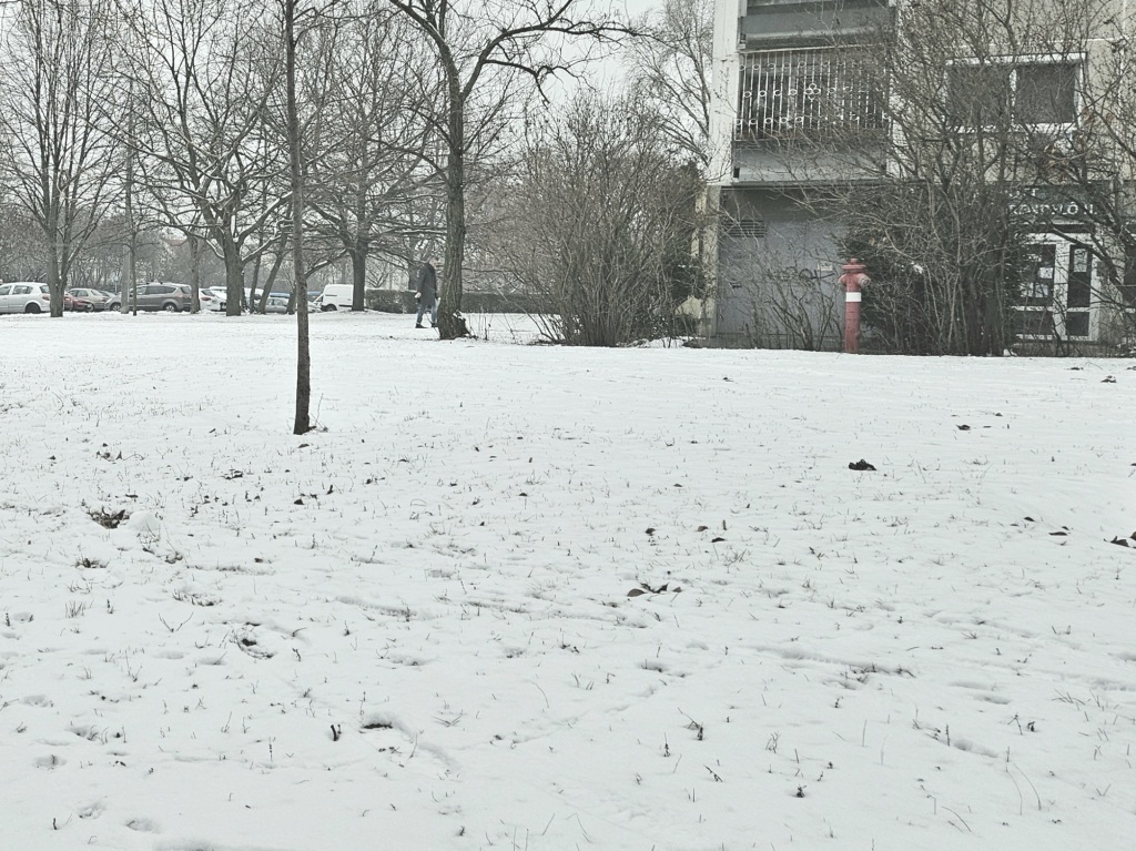 beillesztett kép
