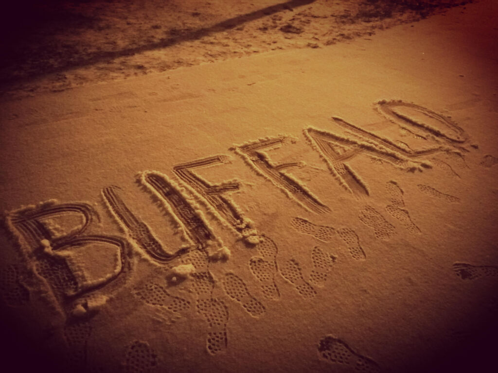 beillesztett kép