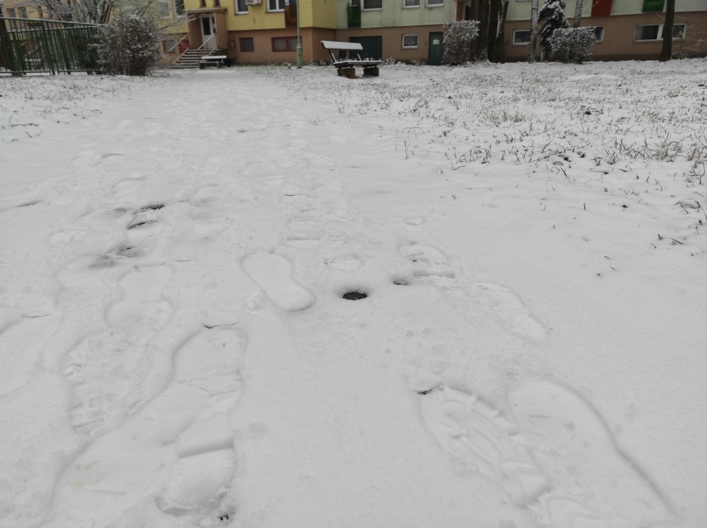 beillesztett kép