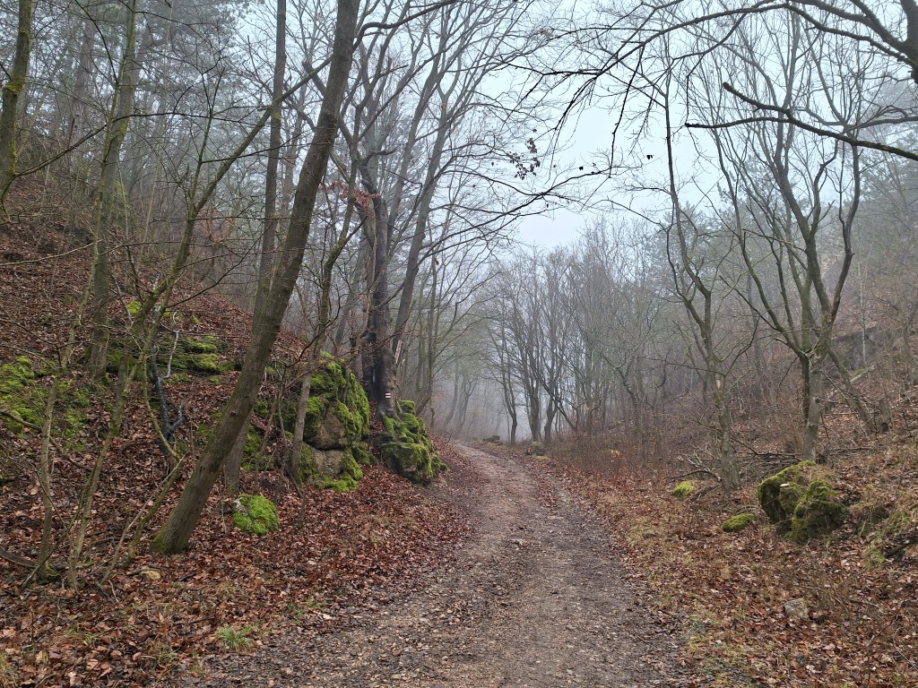 beillesztett kép