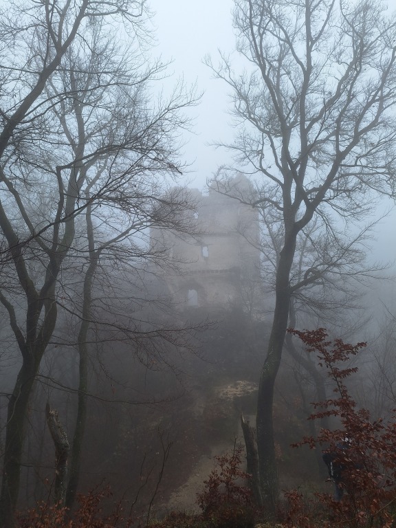 beillesztett kép