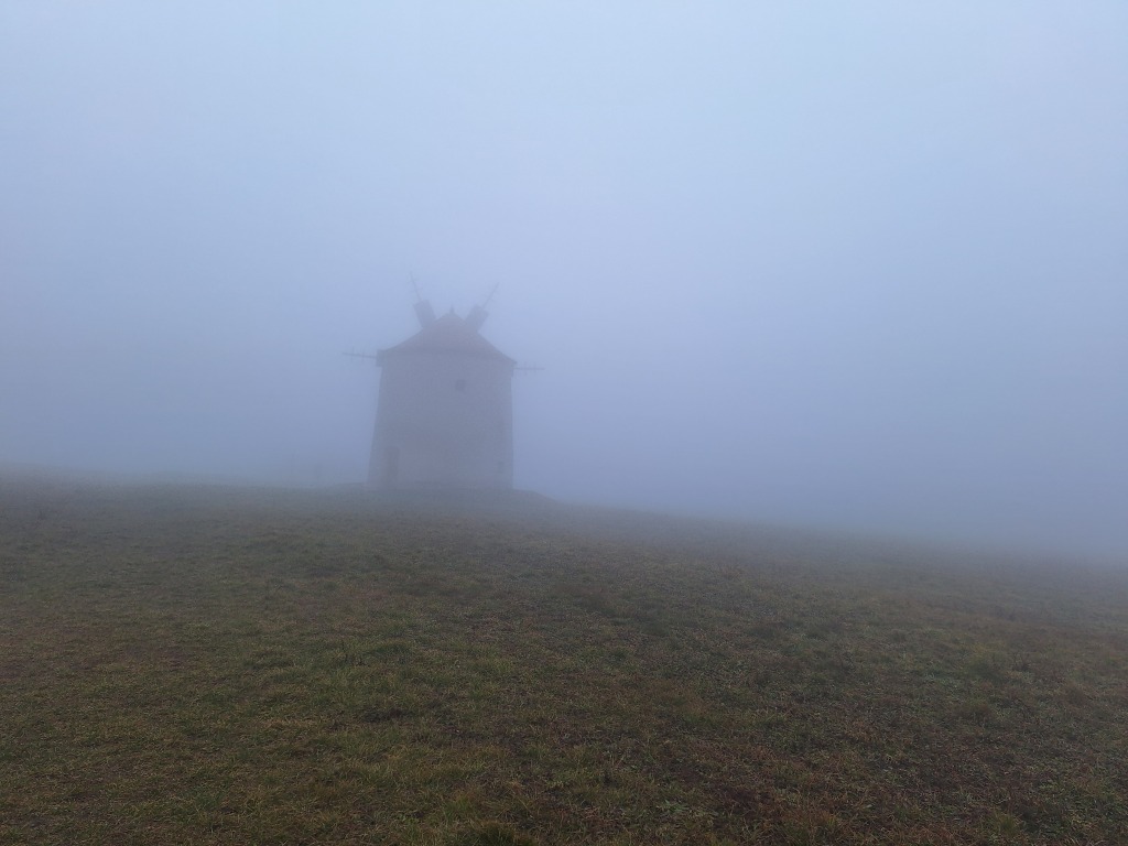 beillesztett kép