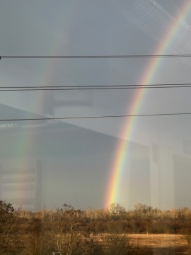 pic