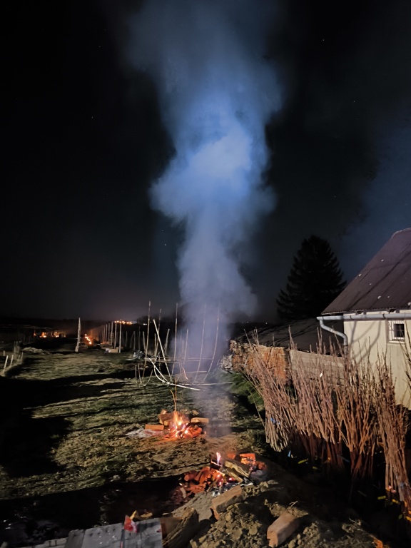 beillesztett kép