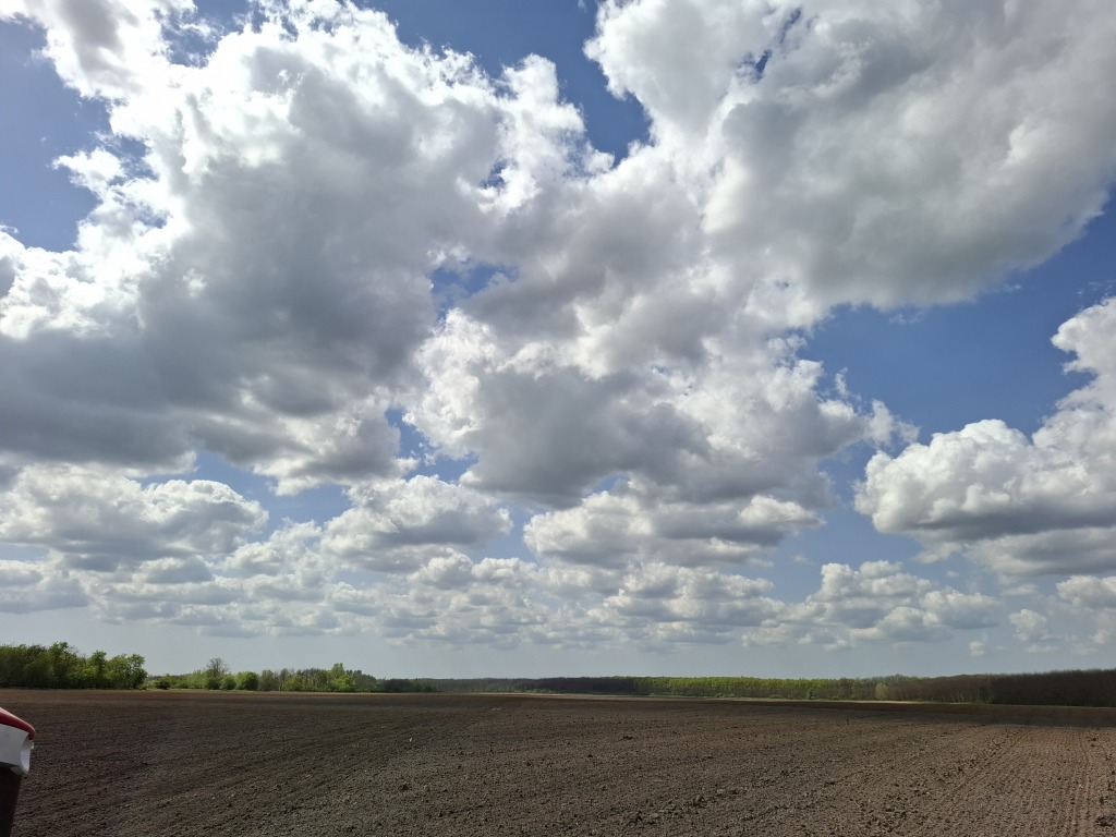 beillesztett kép