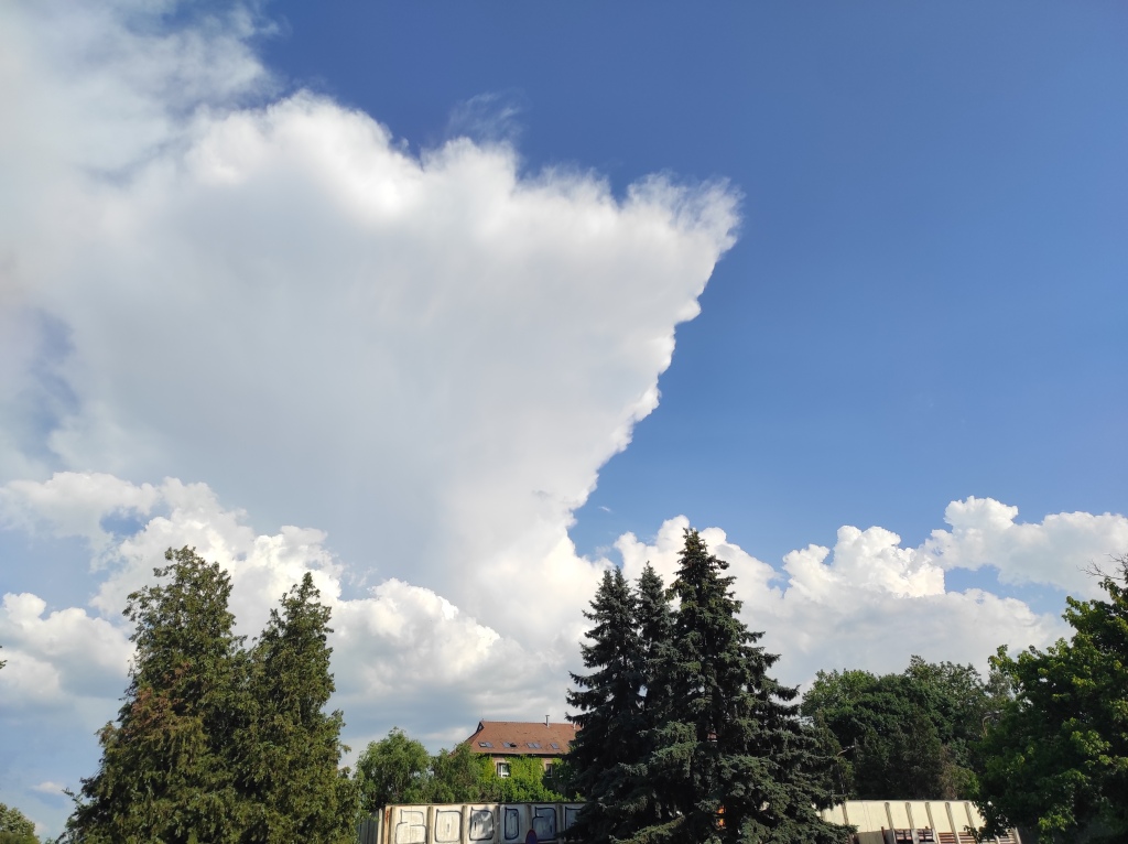 beillesztett kép