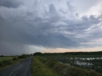 pic