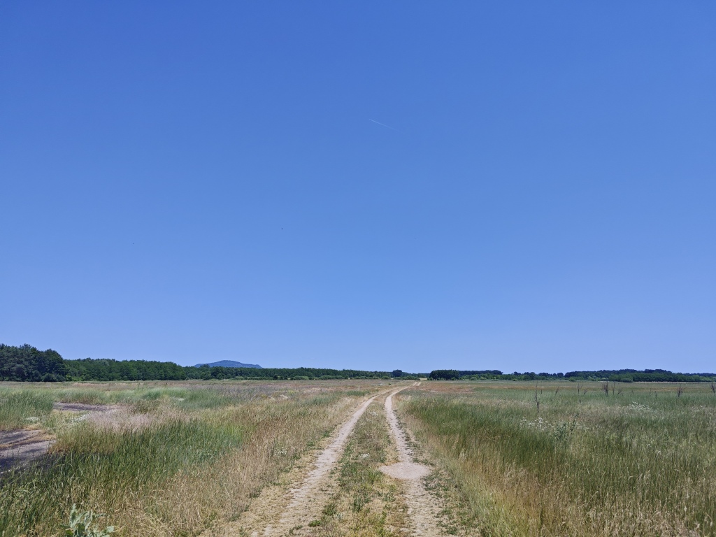 beillesztett kép